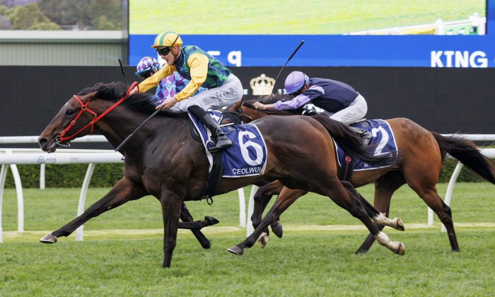 帮助年轻队 帮助年轻队