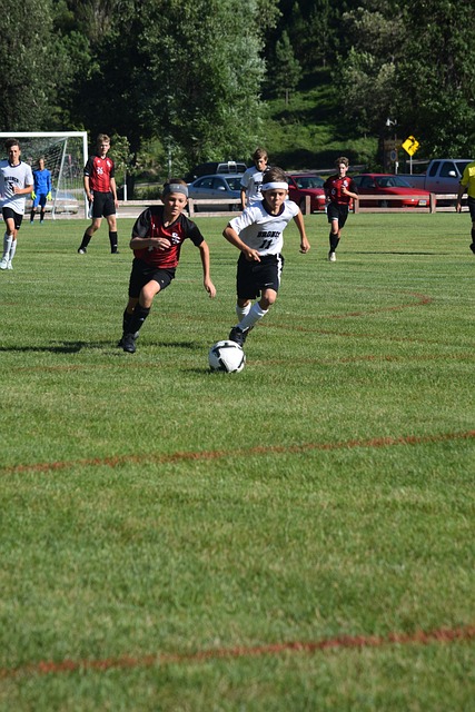 快船迎来新 快船迎来新